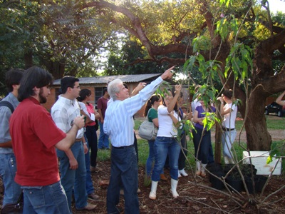 jardim1