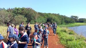 20160710_102512-672x372