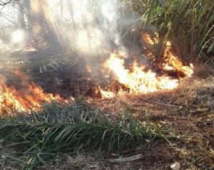 57999fa0-1233-4313-8414-ffac57cb2945-467x372