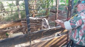 818147bb-2da6-44aa-b019-78c96911c599-672x372