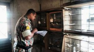 839f2ead-c032-4e89-a7e1-d46c2c5cd4cb-672x372