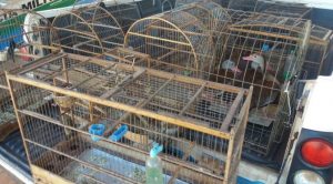 IMG-20160713-WA0014-672x372