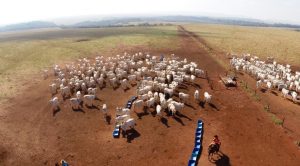 Programa-Terra-Boa-FOTO-1-1038x576
