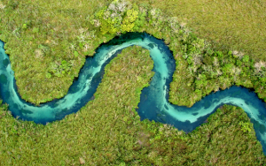 5767eb1af14e770dd72c9cbdee067585a7e9d01633445