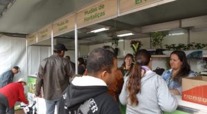 dsc04181-1038x576-672x372