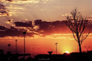 whatsapp-image-2016-08-10-at-12-00-37