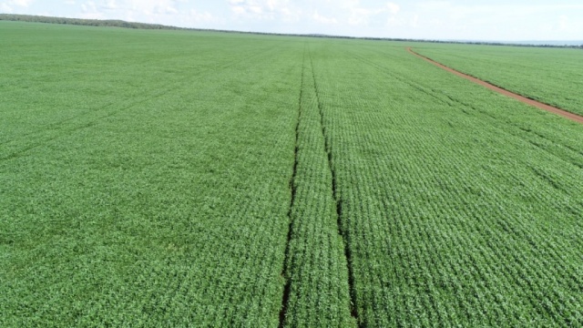 (Jerry Cambuhy/Arquivo Pessoal)