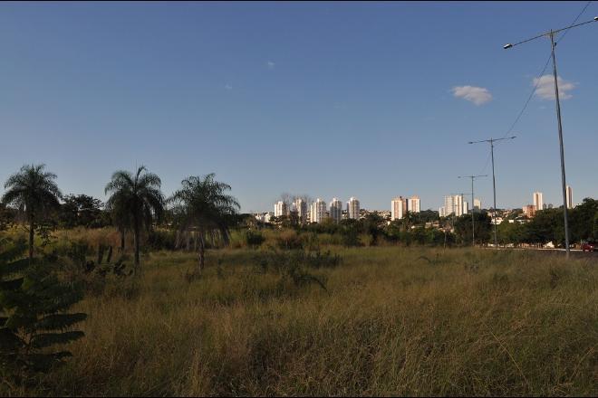Álvaro Rezende/Correio do Estado